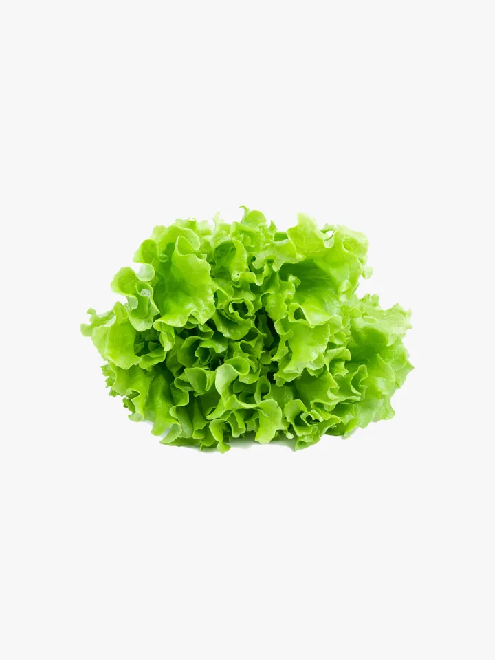 organic-9-3